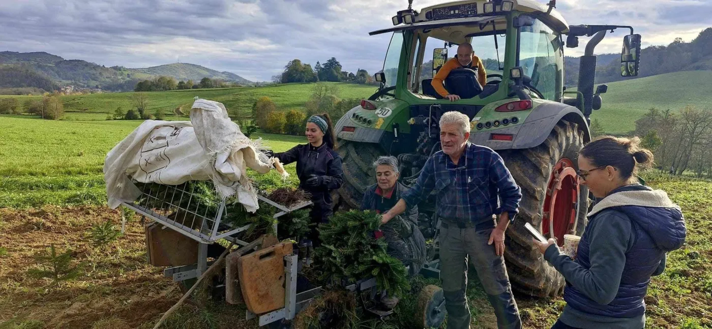 L'équipe et des proches préparent la plantation de jeunes sapins près du tracteur