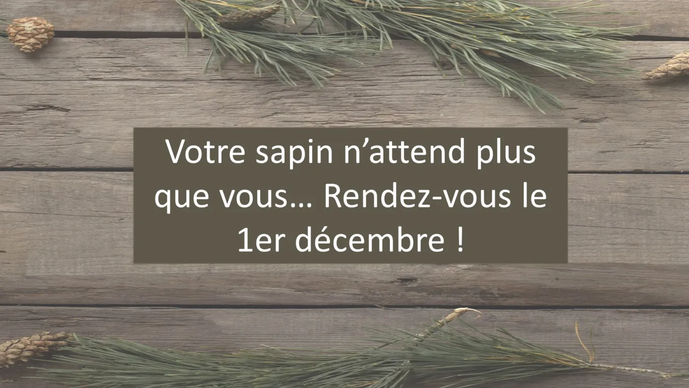 Affiche : Votre sapin n'attend plus que vous… Rendez-vous le 1er décembre !
