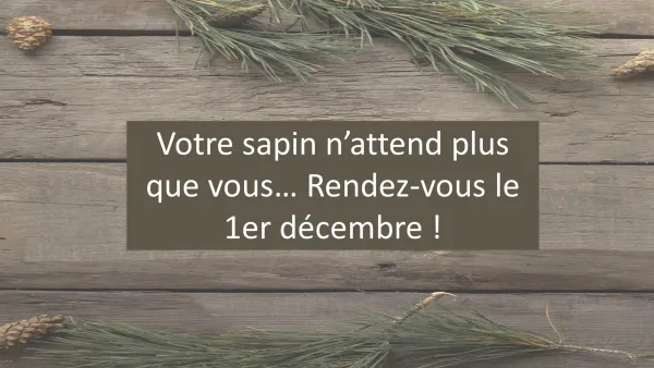 Affiche : Votre sapin n'attend plus que vous… Rendez-vous le 1er décembre !