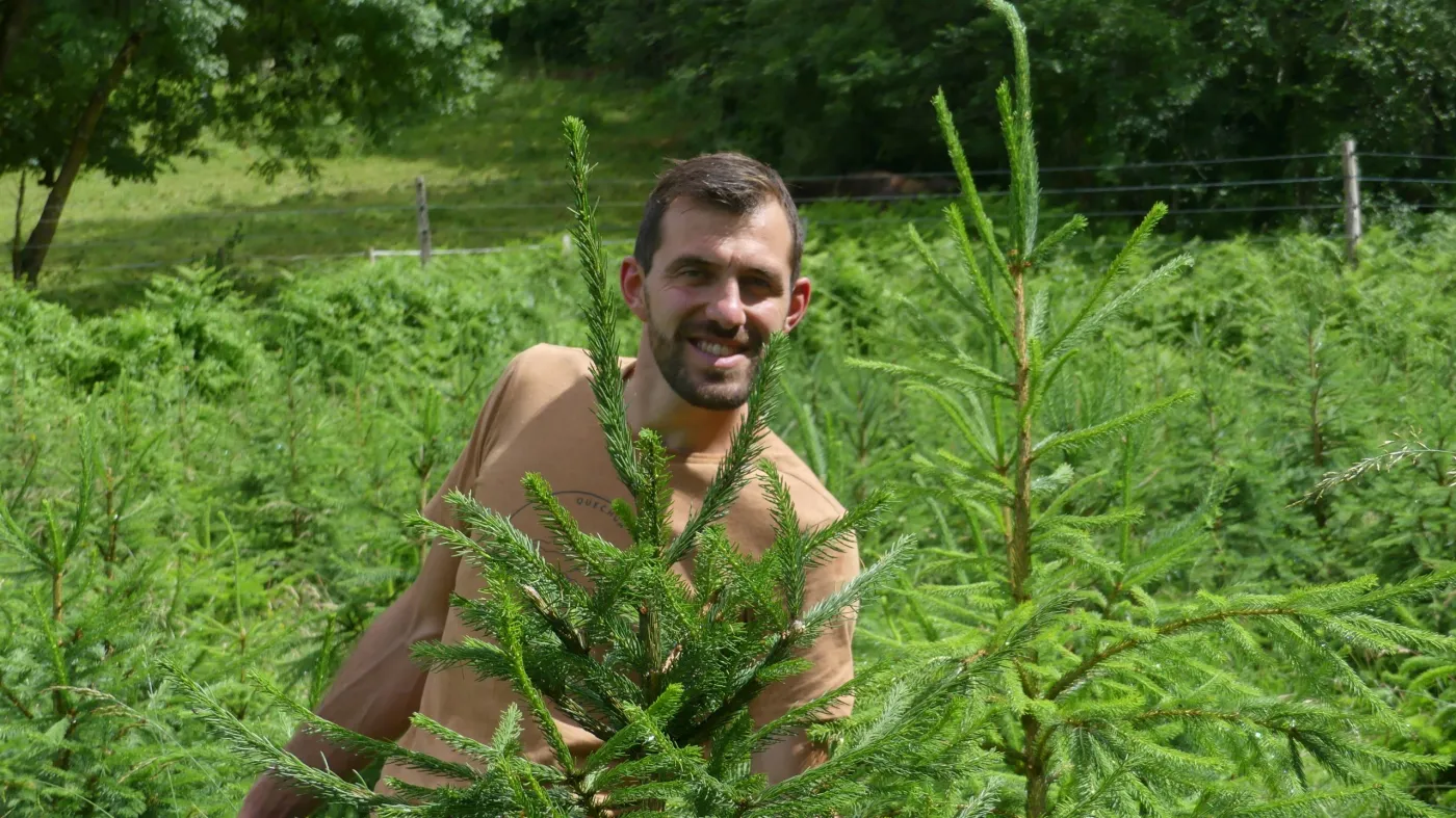 Un membre de l'équipe souriant au milieu des jeunes sapins