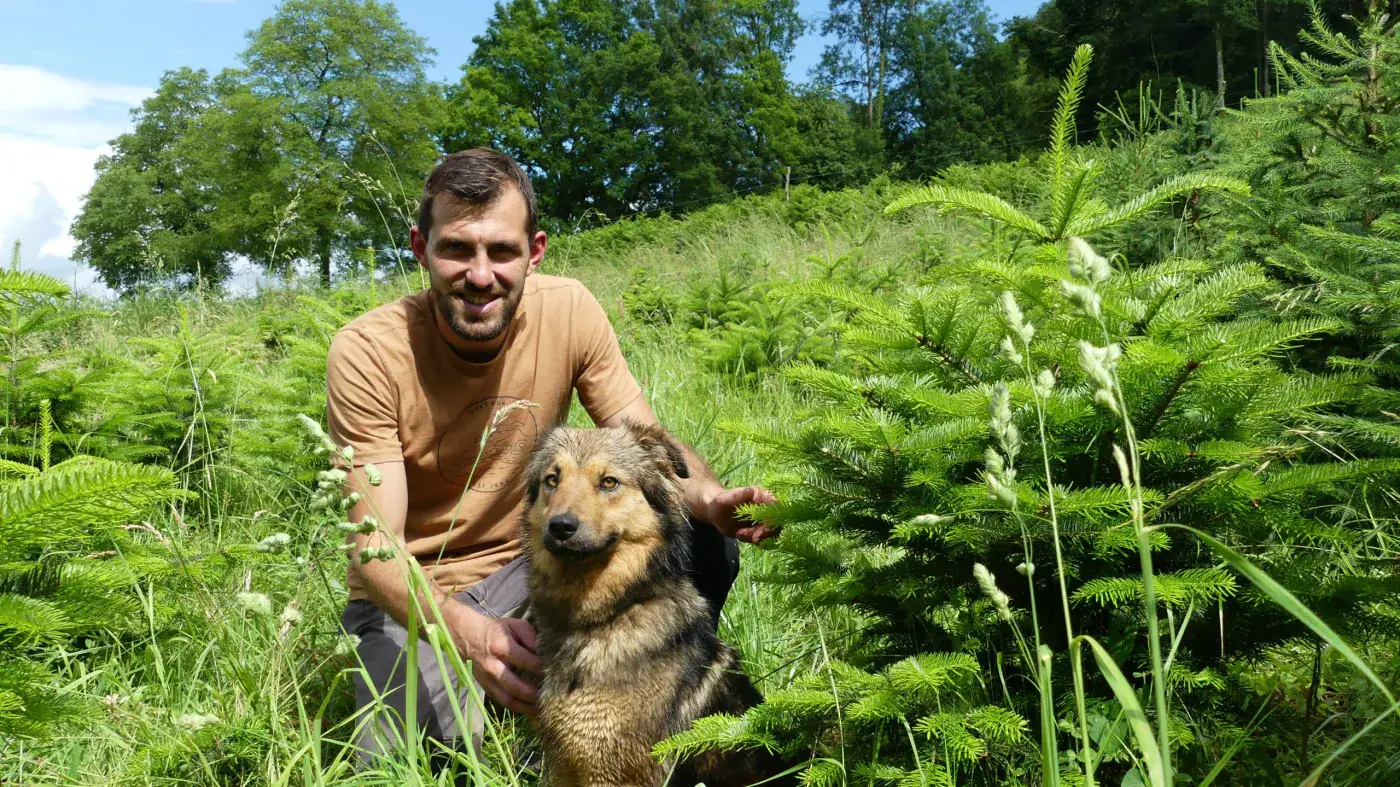 Un membre de l'équipe et un chien dans la plantation de sapins
