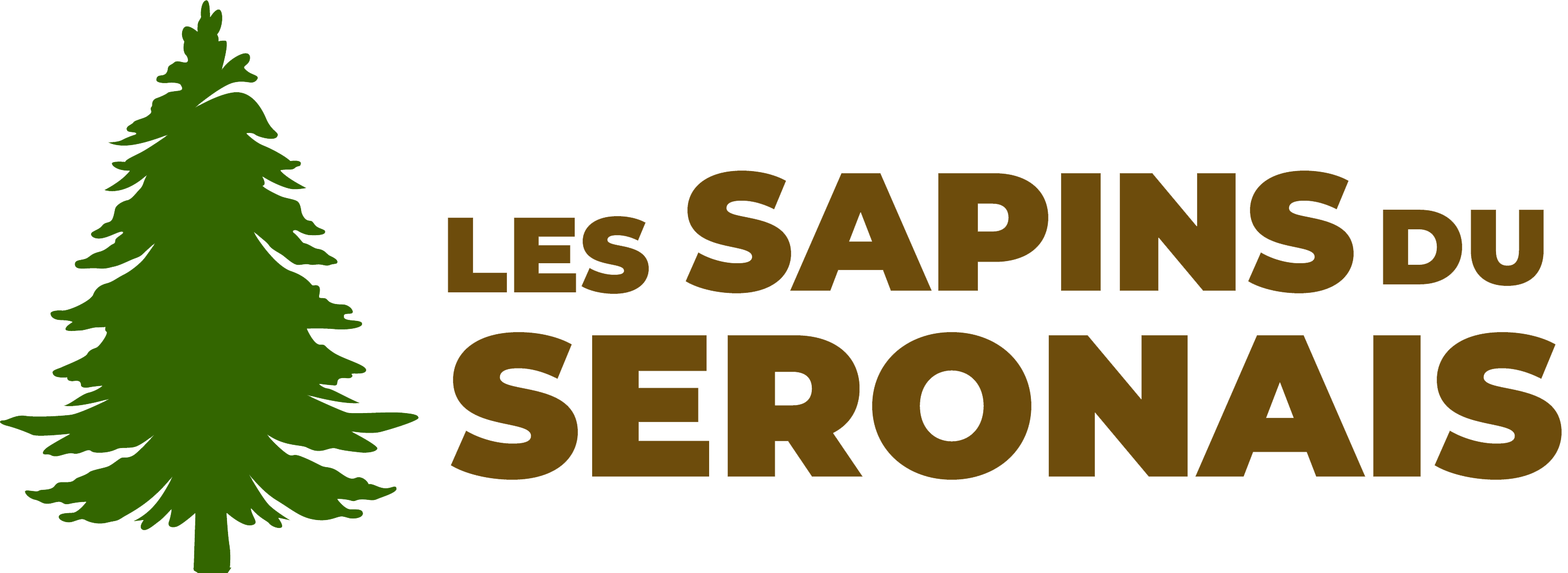 Sapins, épicéas, Normann Bio en Ariège