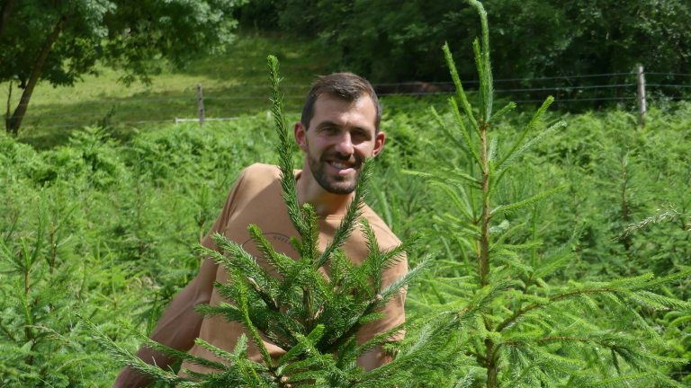 En choisissant les sapins de Noël bio de cet agriculteur engagé, vous participez à la préservation de la nature tout en apportant une touche de fraîcheur et d'authenticité à votre Noël