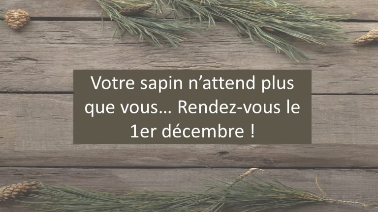 Journée festive sous le signe de Noël