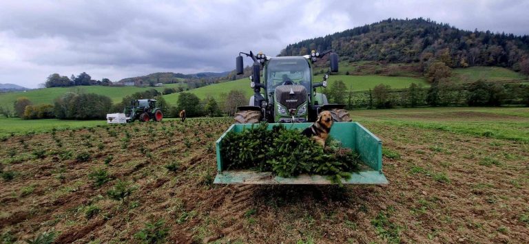 On vous emmène dans le quotidien des Sapins du Séronais !